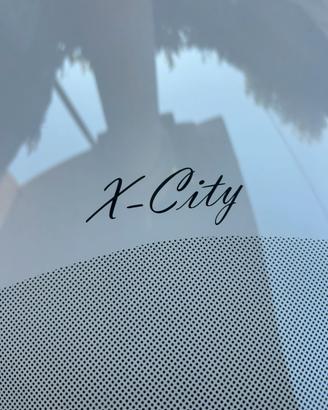 Parabrezza x city 250