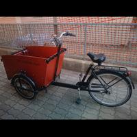 cargo bike  4 posti