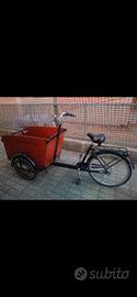cargo bike  4 posti