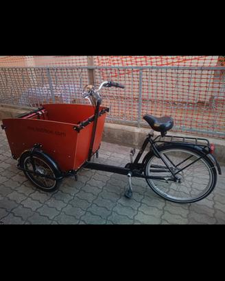 cargo bike  4 posti