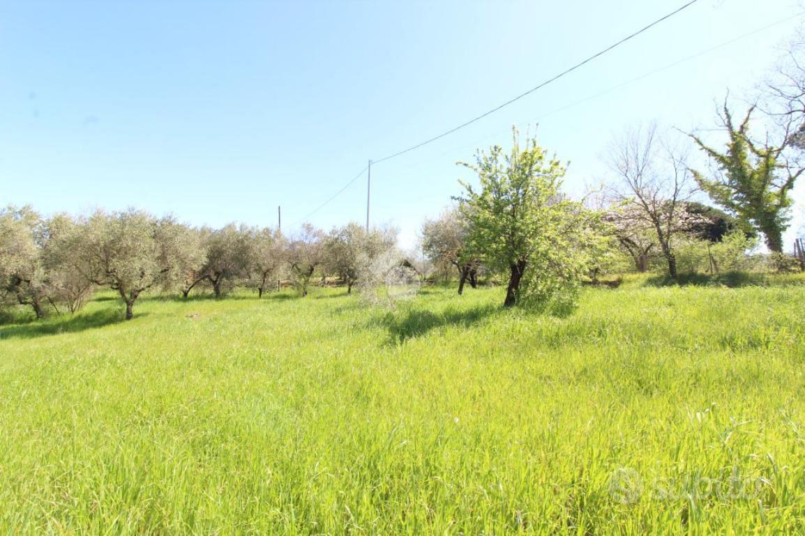 TER. RESIDENZIALE A POGGIO NATIVO - View 3