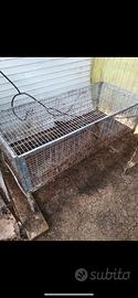 Gabbia conigli
