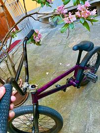BMX Kink Curb 20” – Smoked Fuchsia