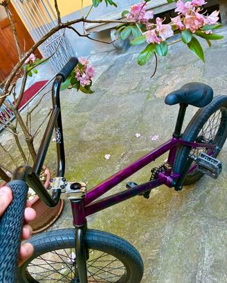 BMX Kink Curb 20” – Smoked Fuchsia