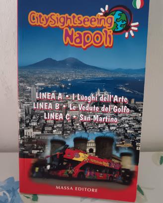 Guida City Sightseein Napoli Massa Editore Itiner