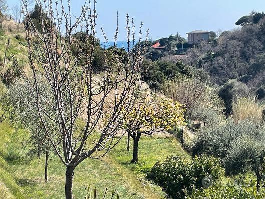 Terreno a fasce - Altro
