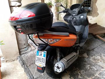 gran Dik 250