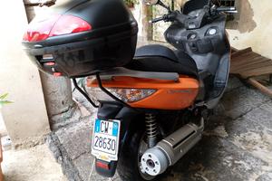 gran Dik 250