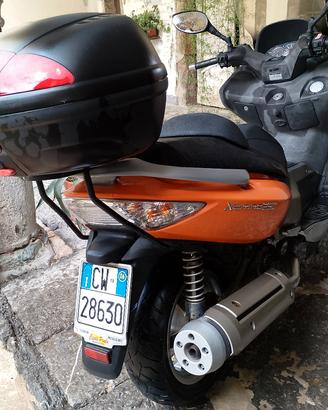 gran Dik 250