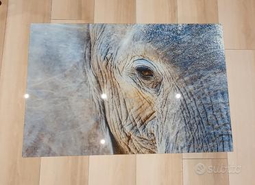 canvas su vetro stampa.