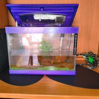acquario 30litri costo 30€