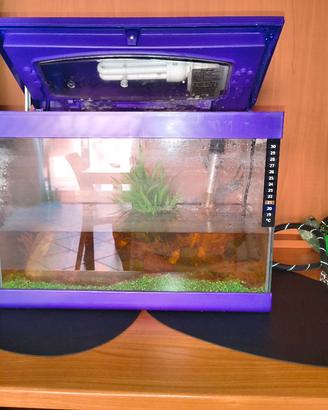 acquario 30litri costo 30€