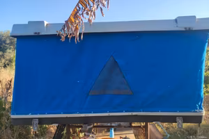 Maggiolina  Tenda per tetto auto furgone