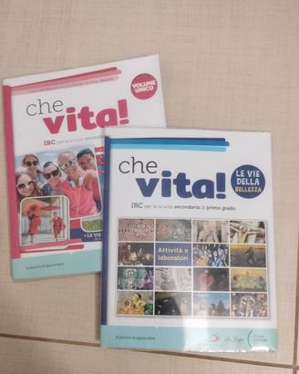 Che vita! Volume unico + volume Le vie della