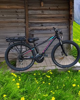 Mountain Bike elettrica Specialized donna