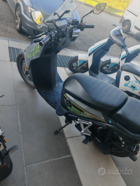 CPX DOPPIA BATTERIA / veicolo aziendale