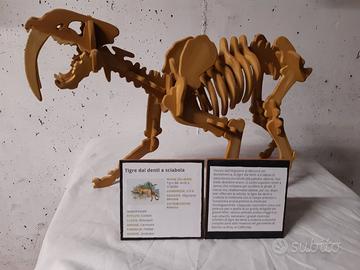 Scheletro Tigre dai denti a Sciabola in legno. 