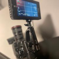 Monitor Video Professionale DP500IIIS A70TLS