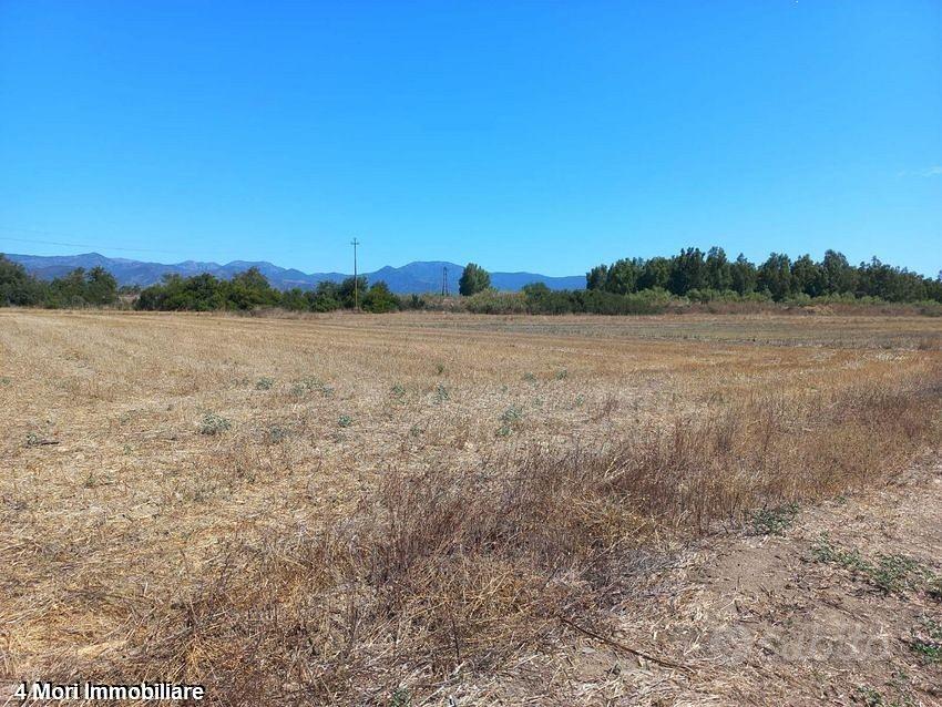 Terreno Loc. Tuerra Manna mq. 7415 - Vista 3