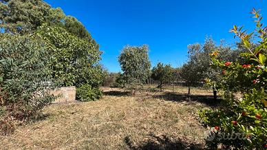 Guspini- Lotto agricolo monolocale e loc. sgombero