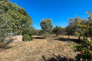 Guspini- Lotto agricolo monolocale e loc. sgombero