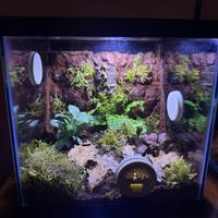 Terrari naturalistici