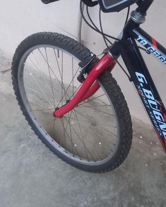Mountain bike