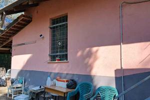 Terreno e casetta agricola