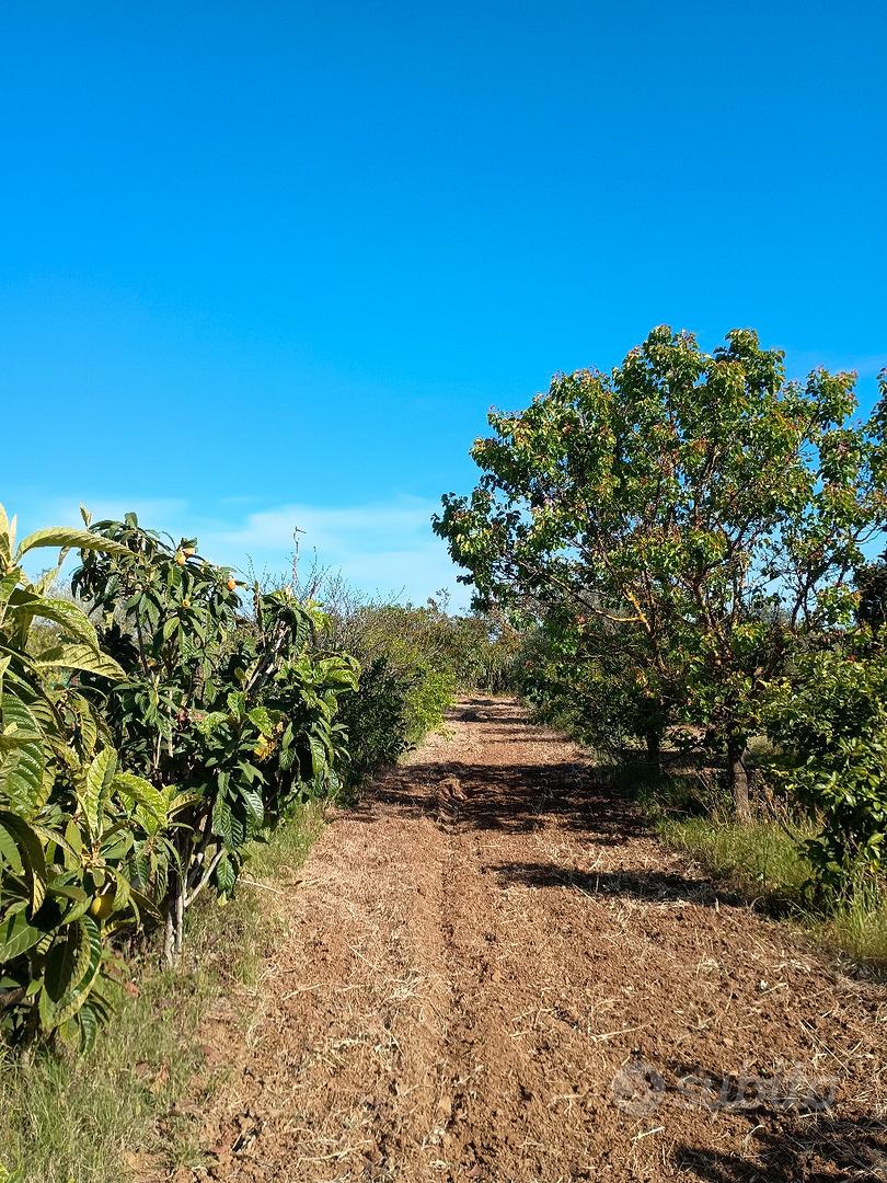 terreno agricolo - Vista 3