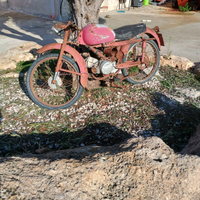 Cardellino guzzi da restaurare