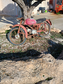 Cardellino guzzi da restaurare