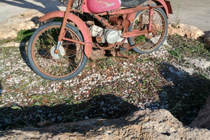 Cardellino guzzi da restaurare