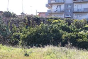 Terreno - Mascali
