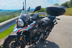 suzuki v strom