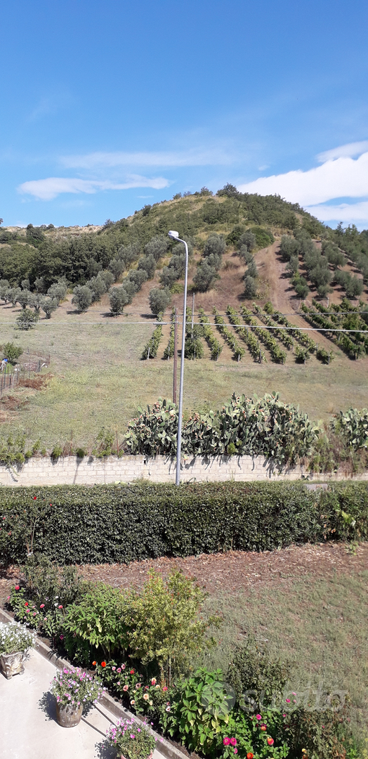 Terreno mongrassano scalo - Altro