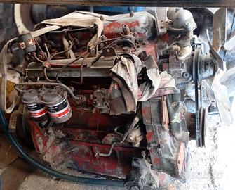 motore fiat 8040.02