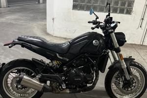 BENELLI LEONCINO 500