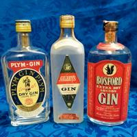 Bottiglie di Gin.