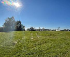 Terreno agricolo di 6000mq