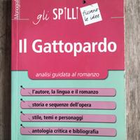 Il Gattopardo analisi guidata 