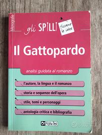 Il Gattopardo analisi guidata 