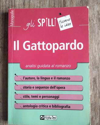 Il Gattopardo analisi guidata 