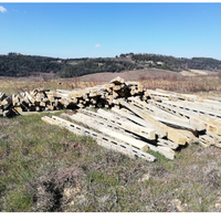 Pali di cemento per vigne e recinzioni