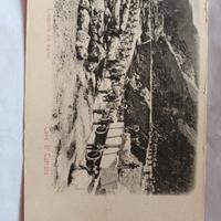 Cartolina 