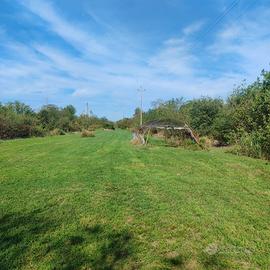 campo agricolo 