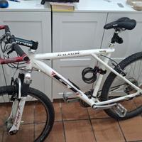 Bicicletta Avalanche GT