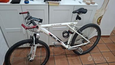 Bicicletta Avalanche GT