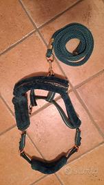 Capezza con pelo e longhina per pony