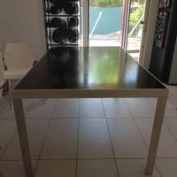 tavolo Molteni  allungabile 