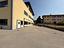 Immagine 11